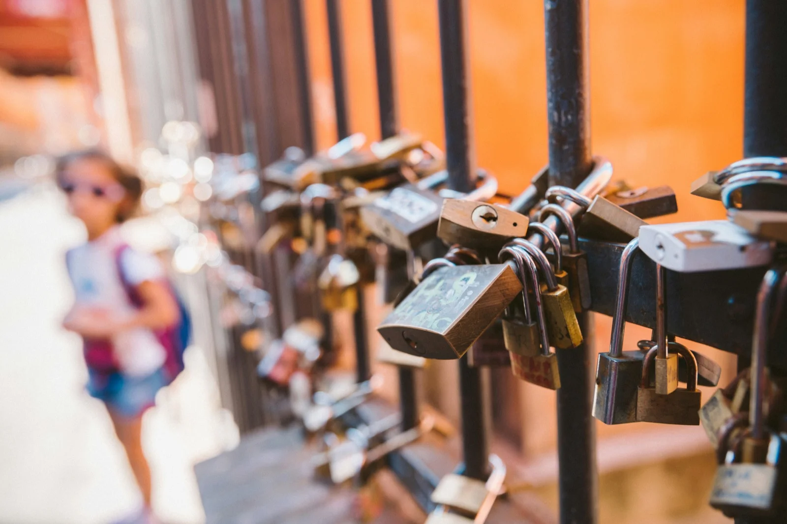 Locks on a fence